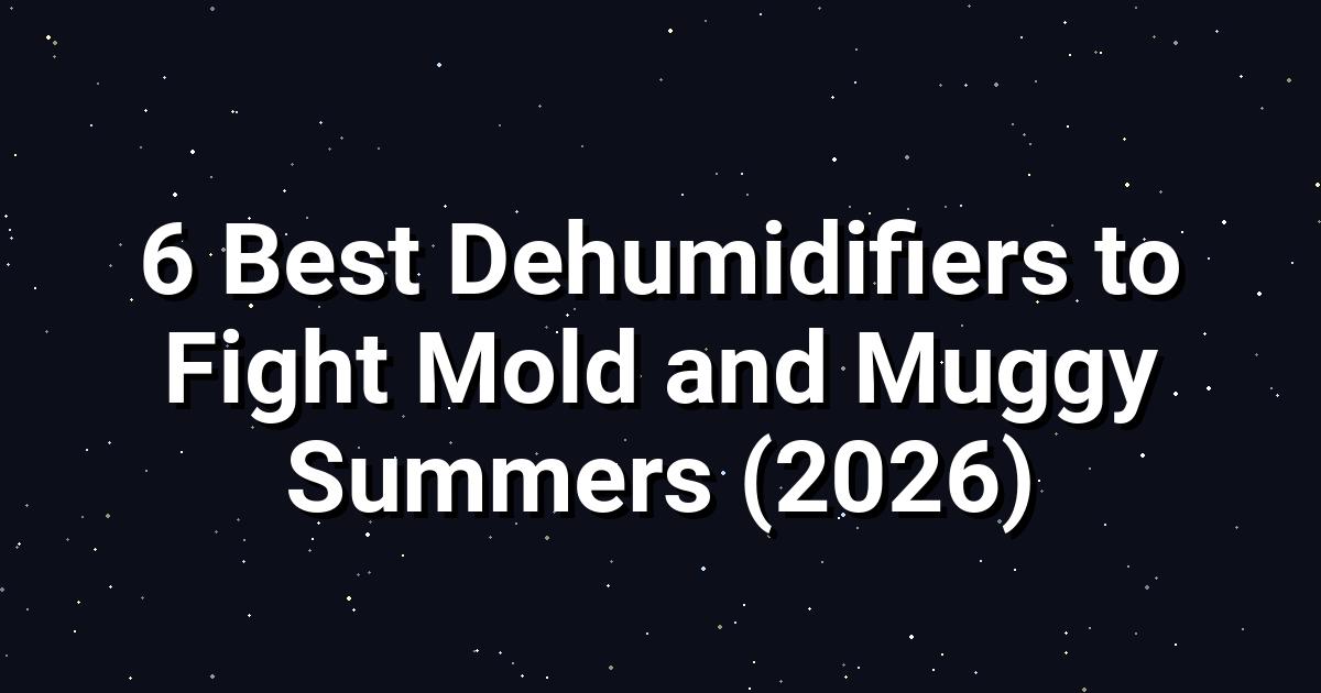 Top 6 Dehumidifiers of 2026: Fight Mold & Humidity