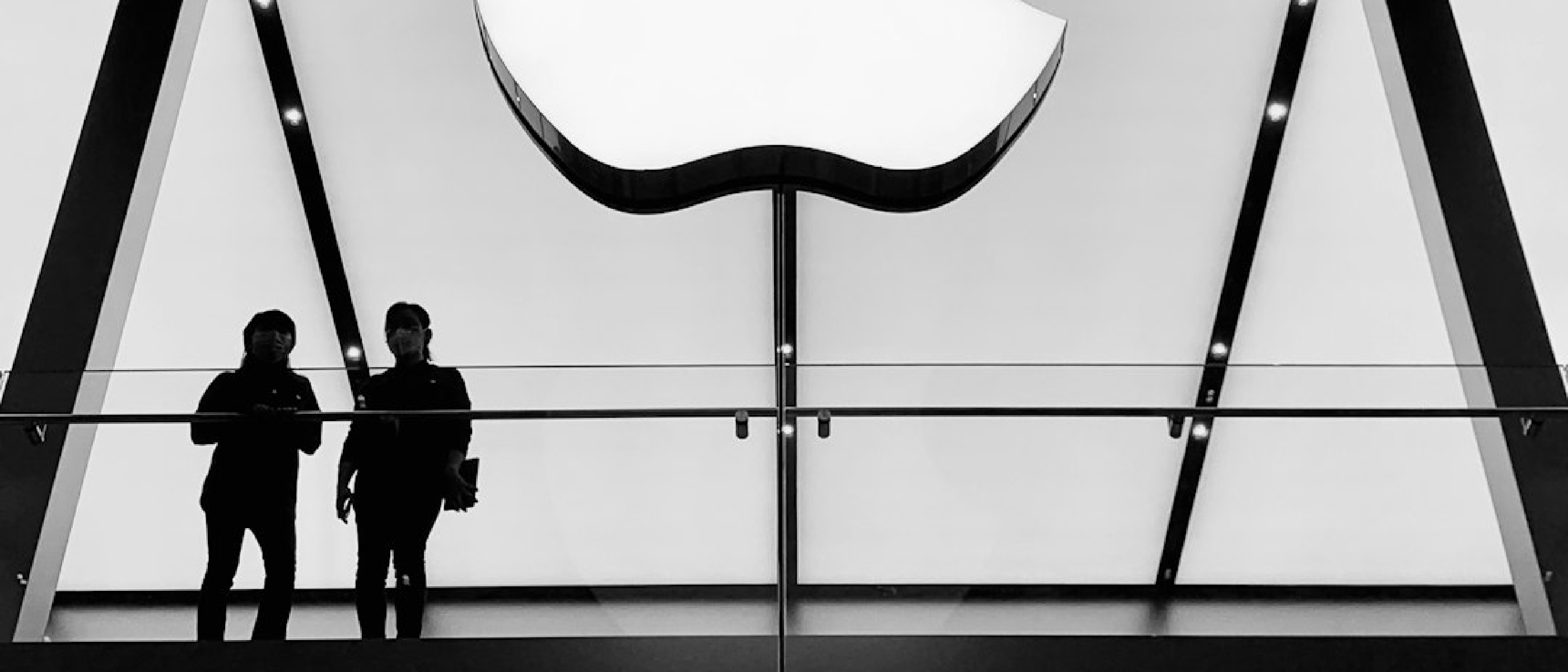 Apple CEO Ternus on Design, AI, and iPhone Duo