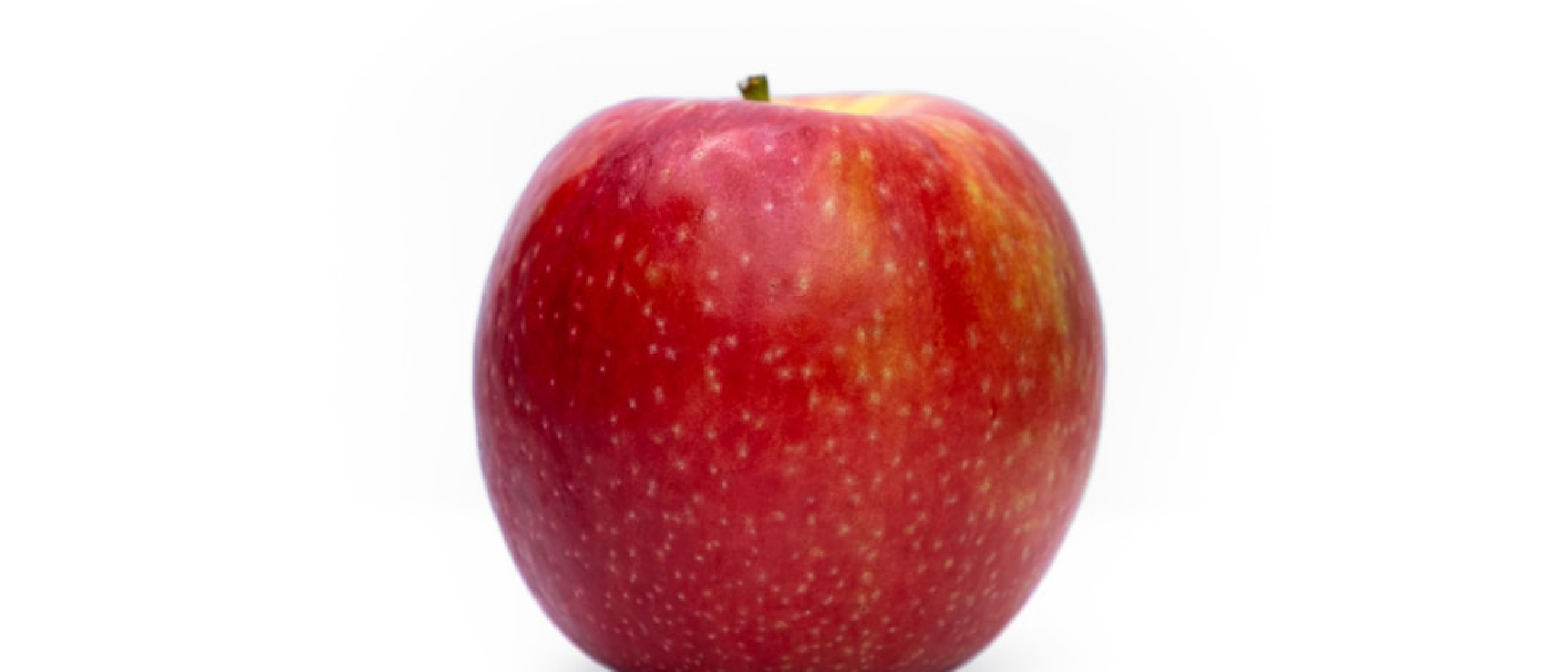 Apple Keeps Hide My Email on @icloud.com After Reversal
