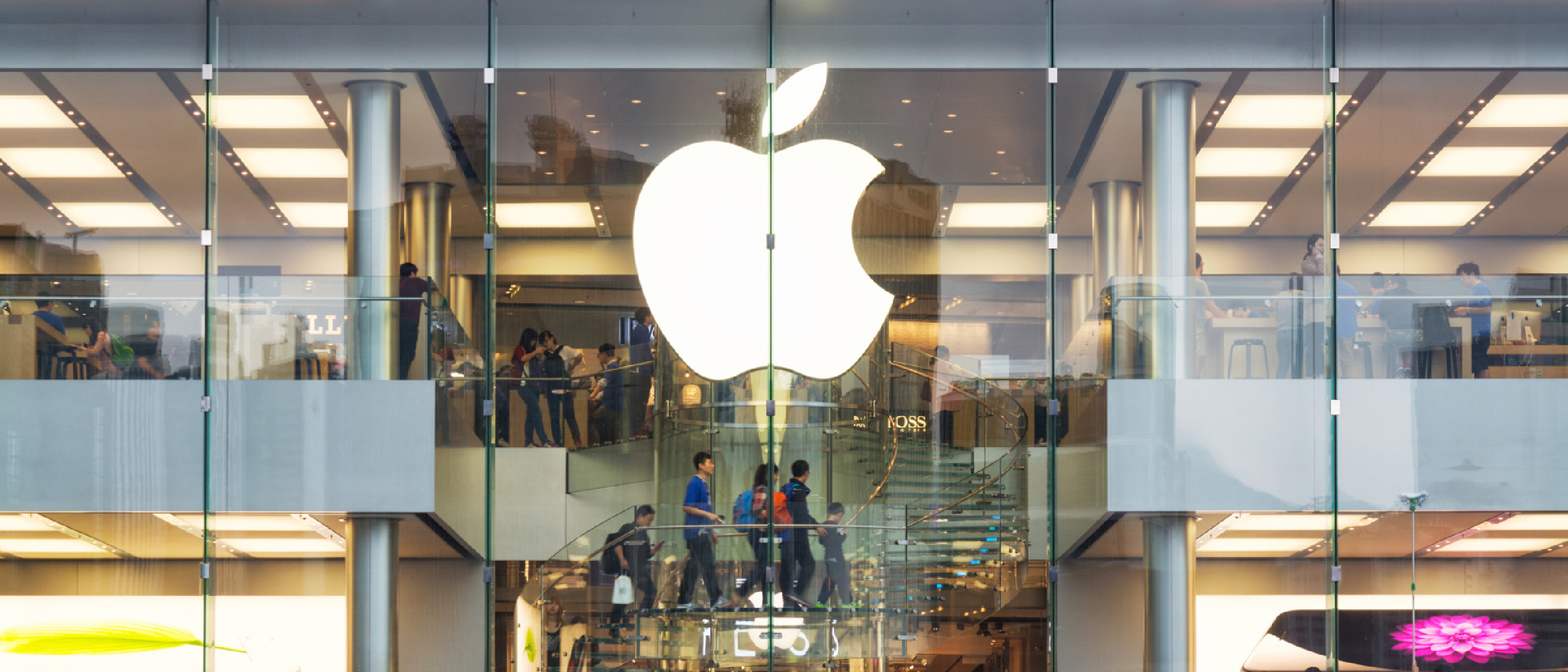 Apple Home View: Siri‑Centric Smart Home Hub Unveiled