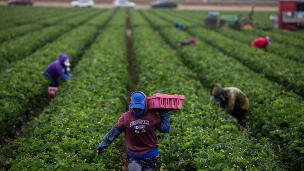 Heat Surge Boosts Pesticide Danger for US Farmworkers
