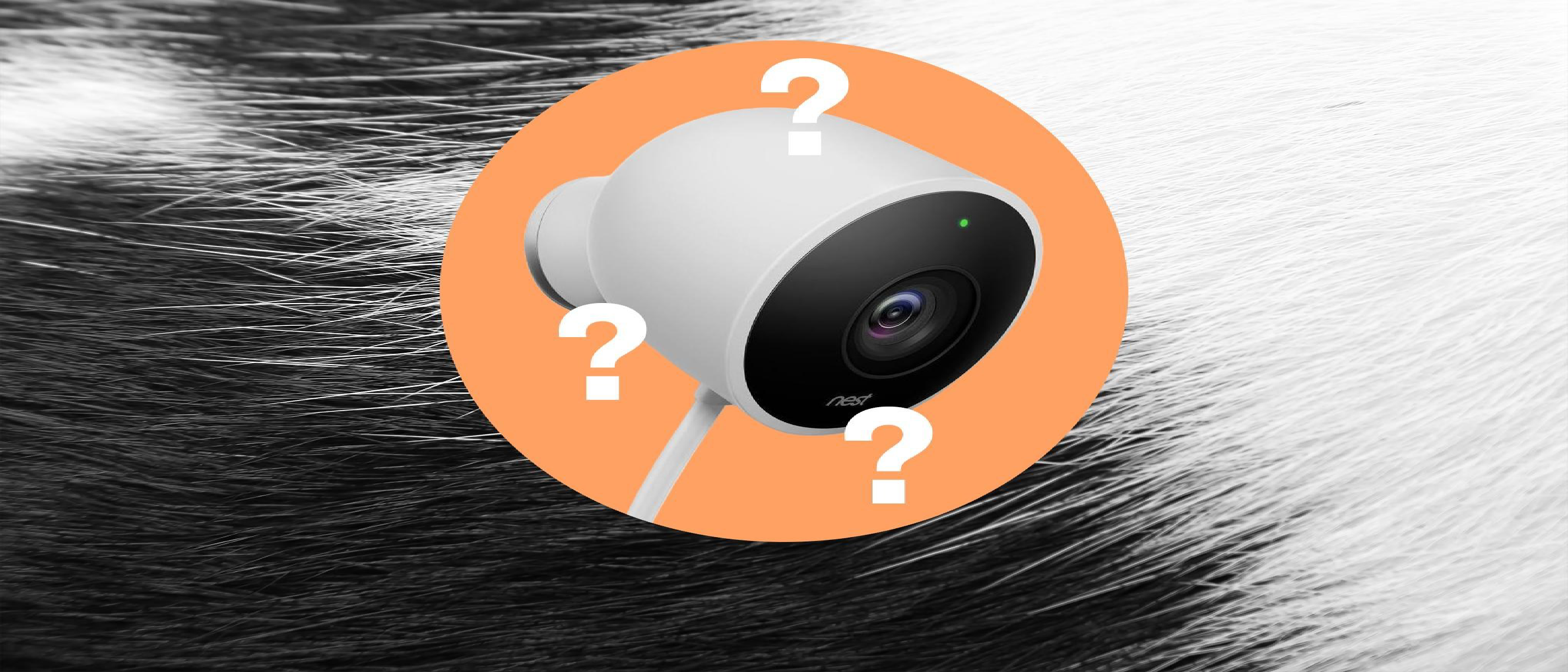 Google Pet Memory: AI Pet ID for Gemini Smart Home