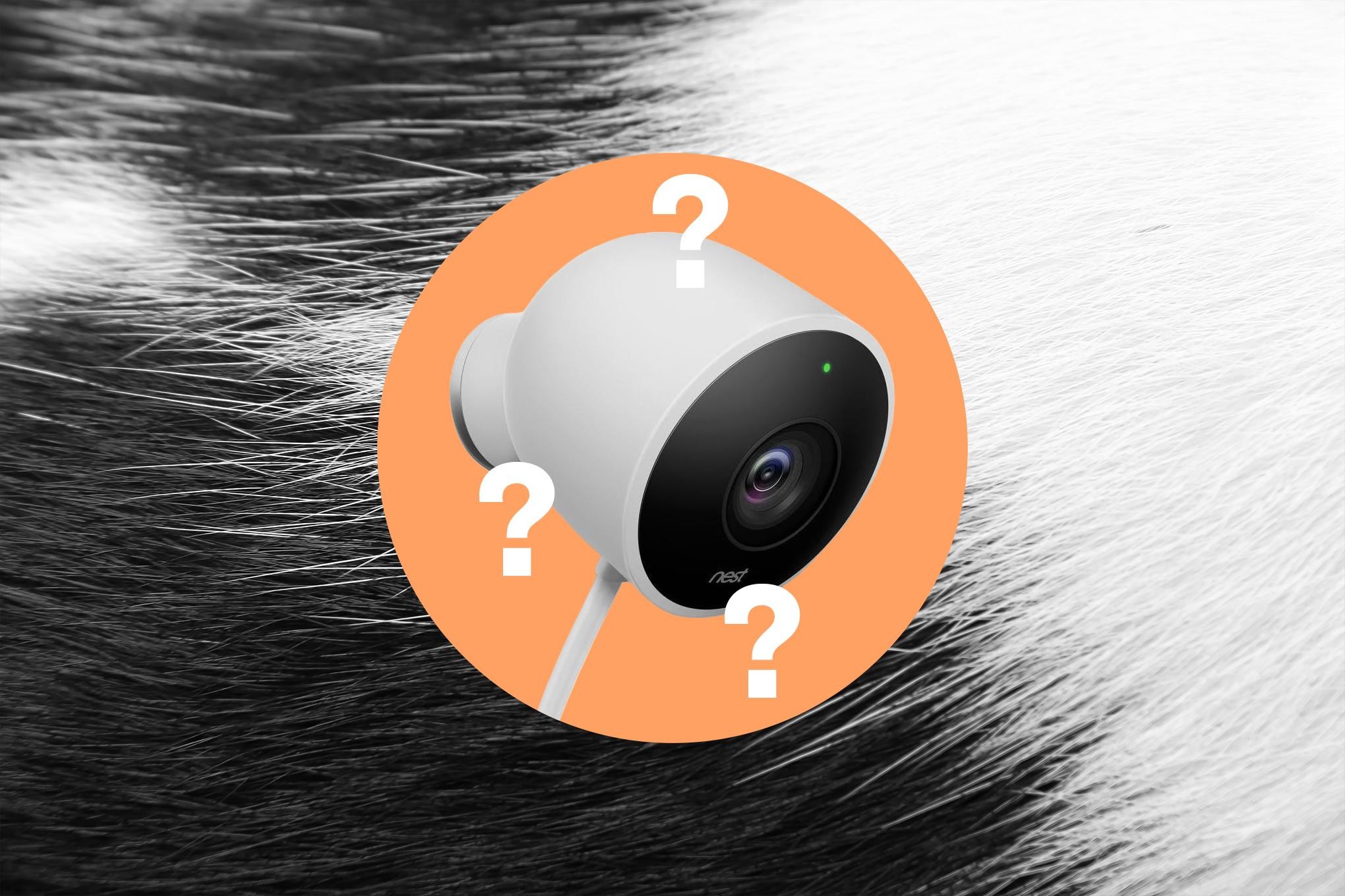 Google Pet Memory: AI Pet ID for Gemini Smart Home