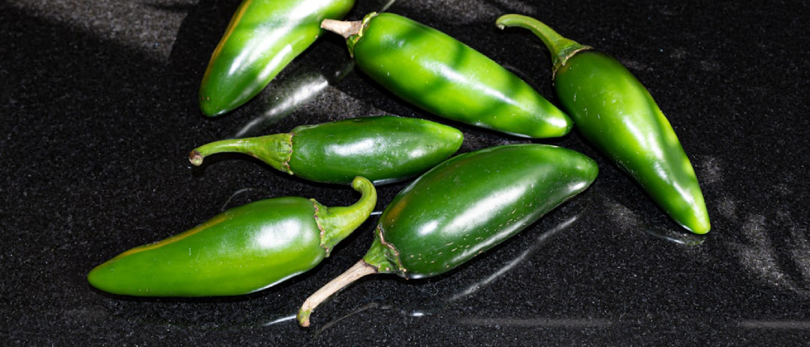 OpenAI Jalapeño Chip Sets Benchmark for AI Inference