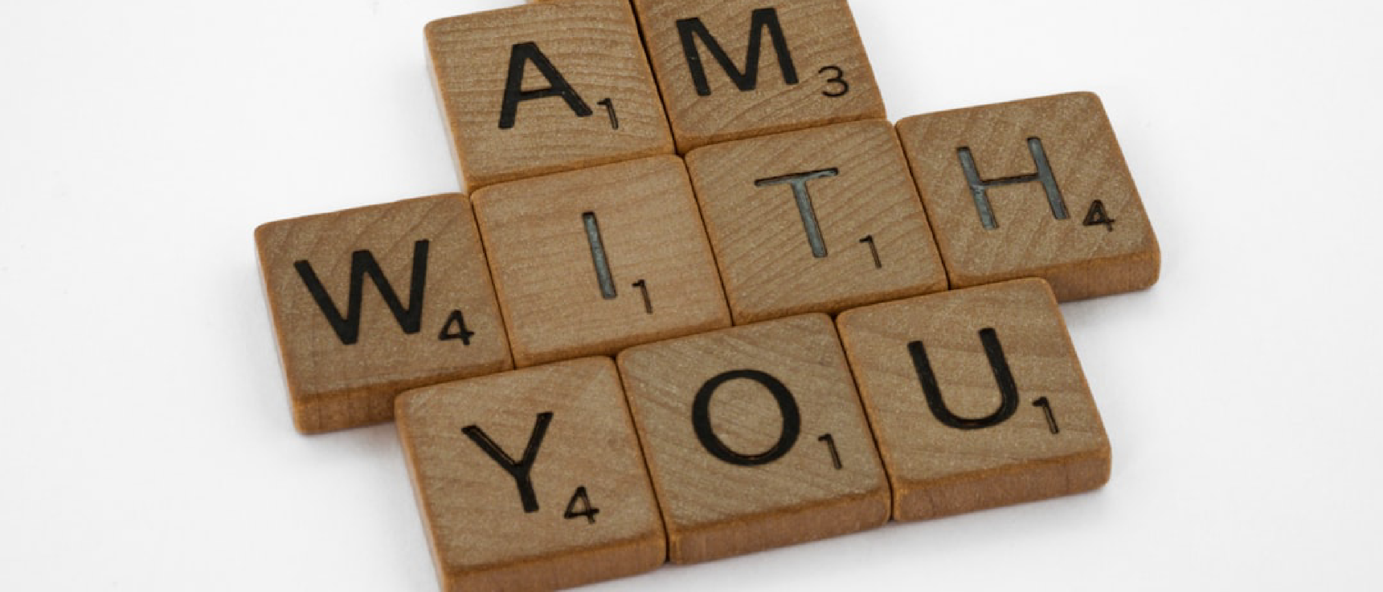 MS NOW Turns Viewers Into a Fandom with Paid Membership
