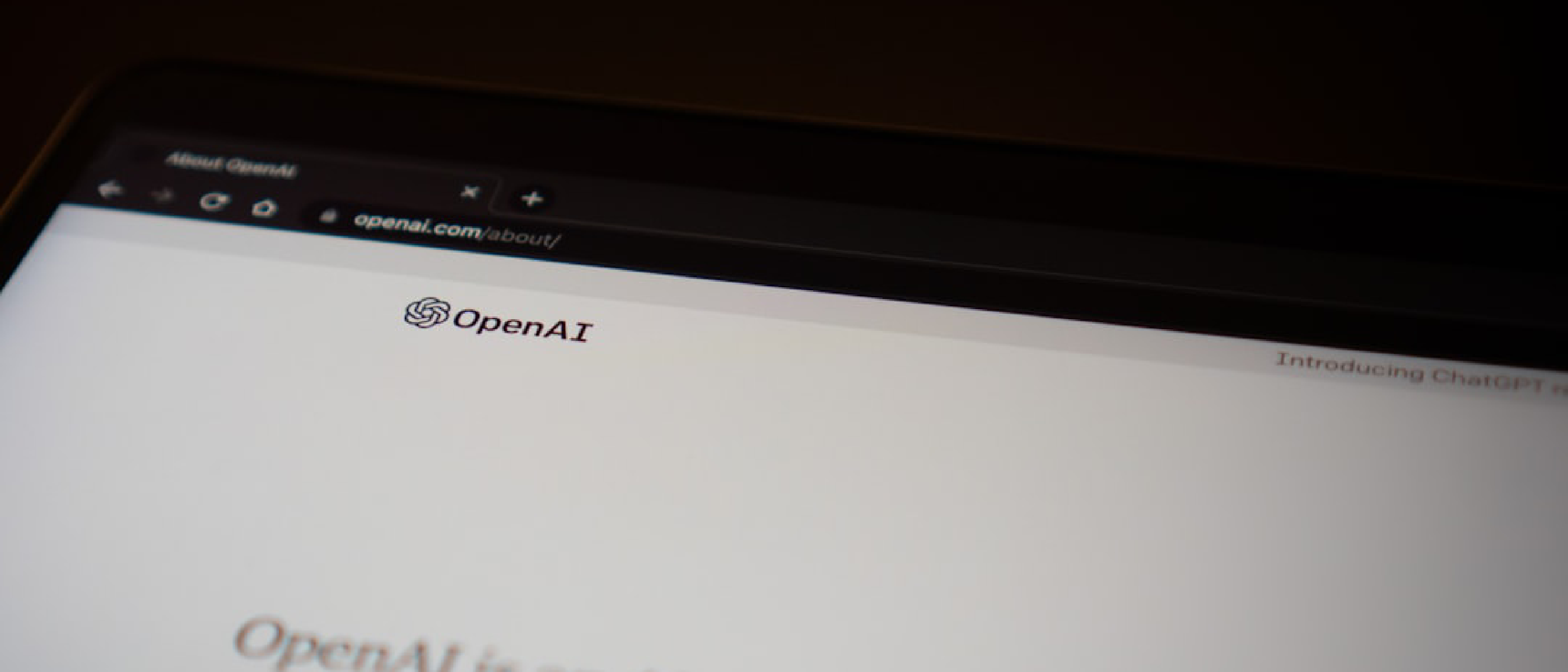 Open AI Launches Bug Fix