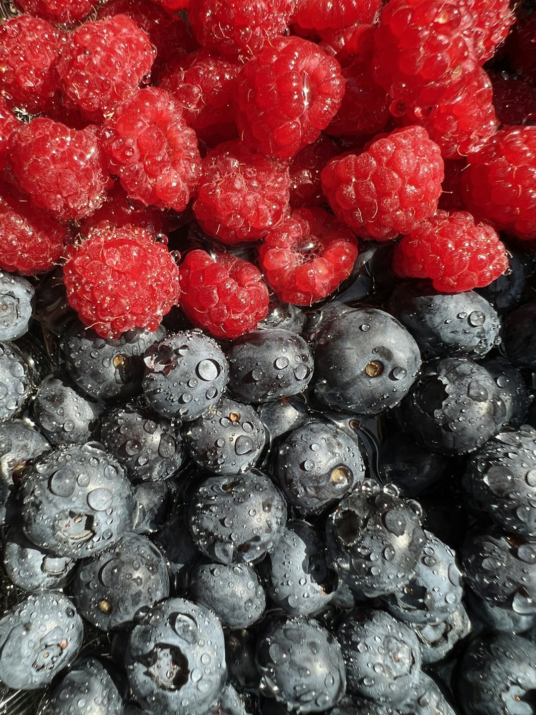 Pairwise’s CRISPR Revolution: Faster, Designer Crops
