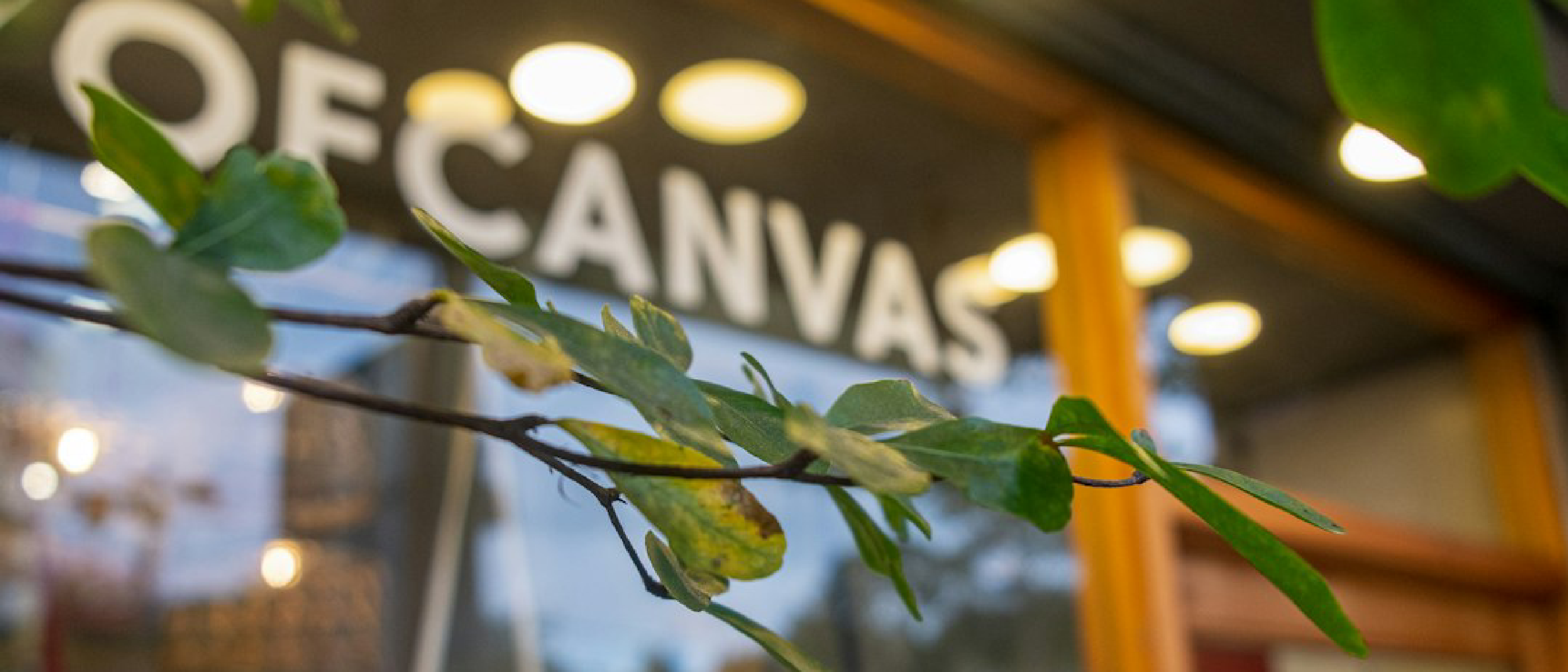 Shopify Canvas: AI Chat Builder Redefines Store Design