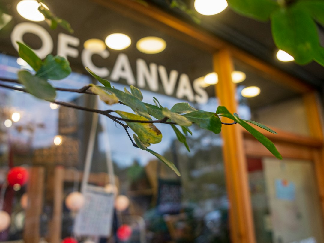 Shopify Canvas: AI Chat Builder Redefines Store Design