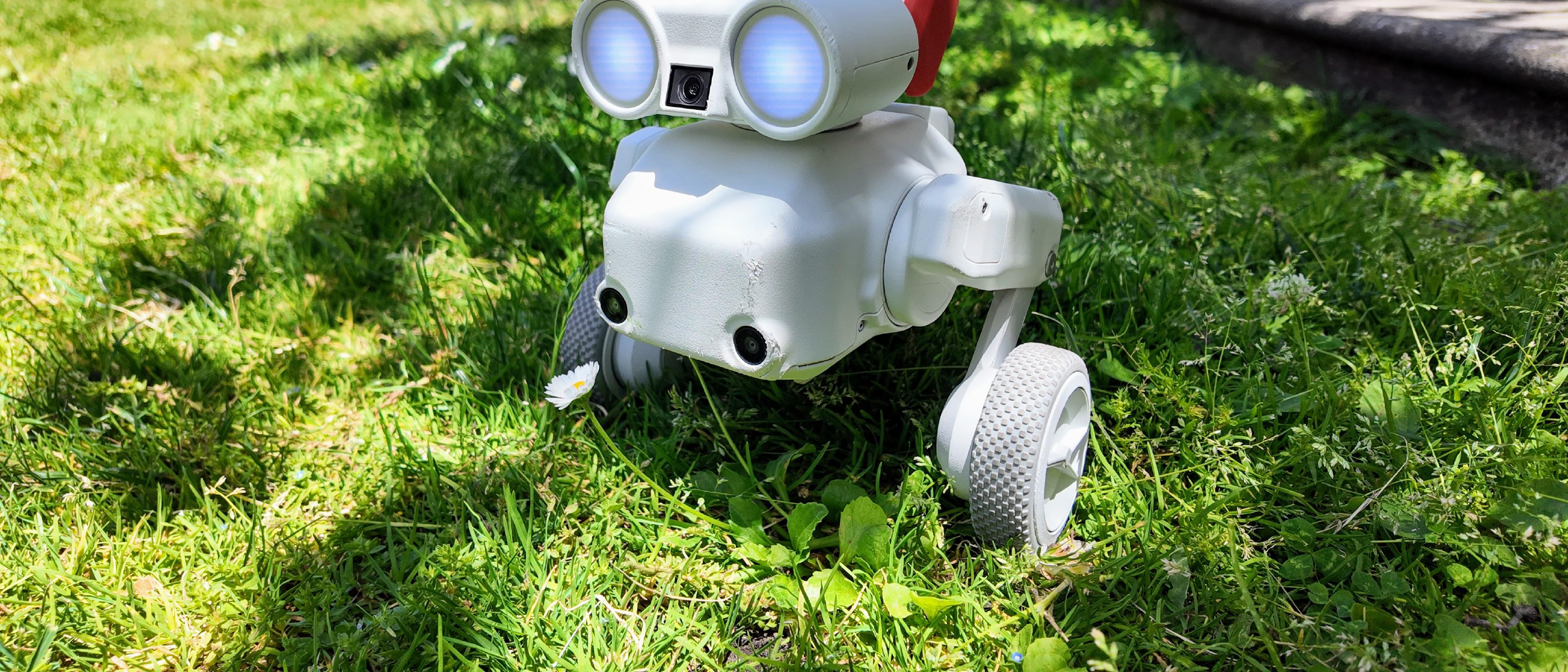 Robot Camera Dog Review