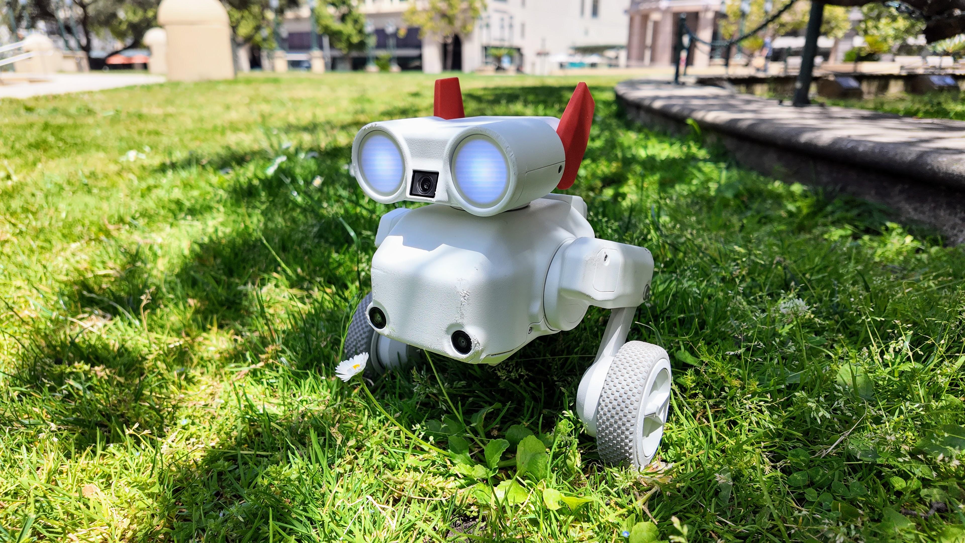 Robot Camera Dog Review