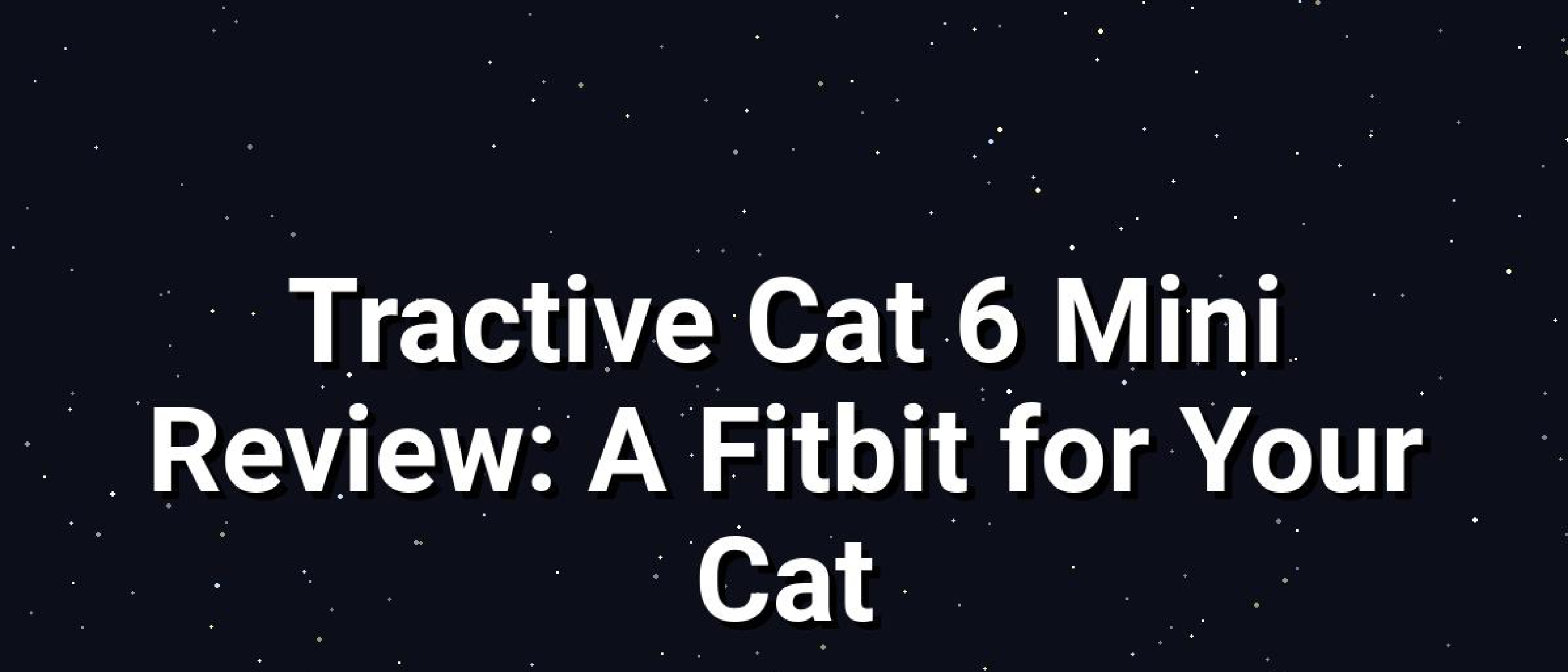 Tractive Cat 6 Mini Review: Health Tracking & GPS