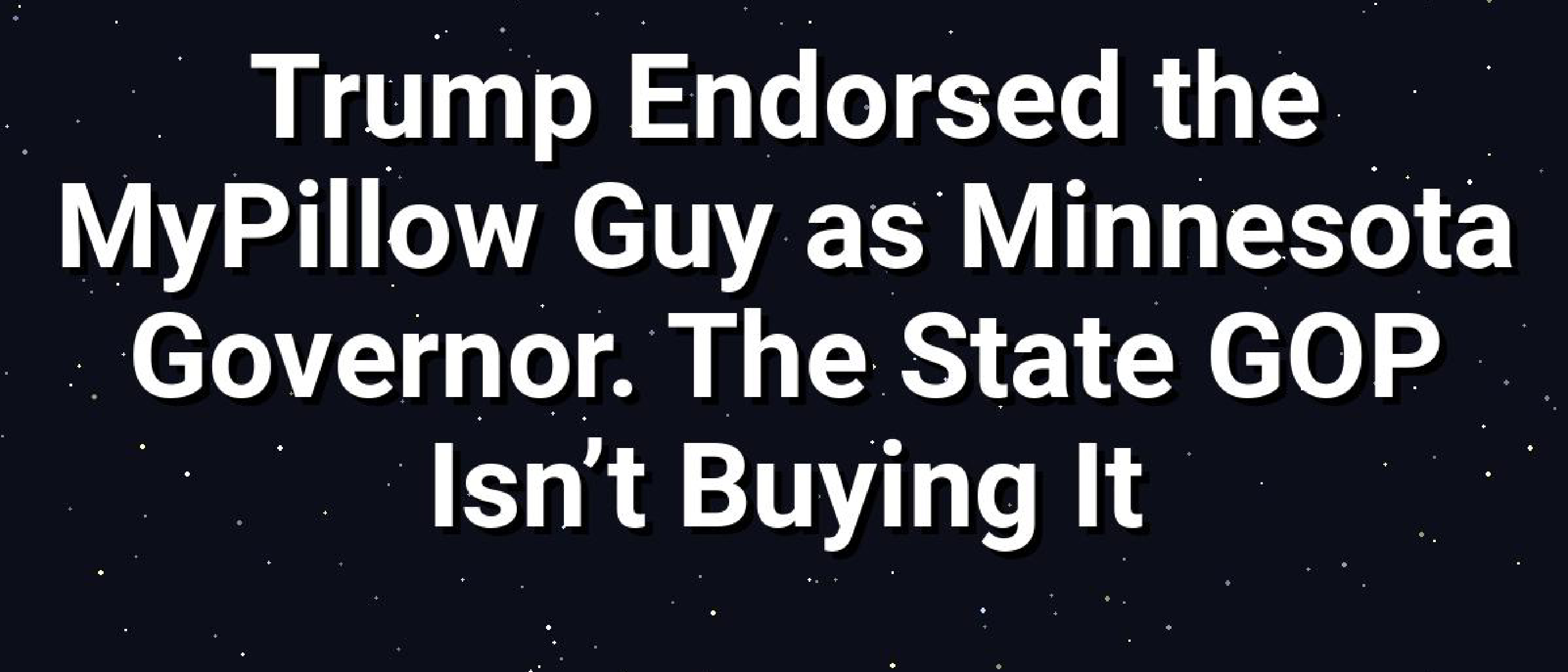 Trump Endorses MyPillow Founder for Minnesota Governor
